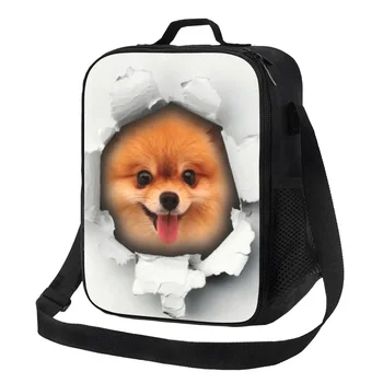 Милая померанская собачка в дырочке, изолированные пакеты для ланча для школы, офиса, щенка Шпица, Водонепроницаемый термохолодильник, ланч-бокс для женщин и детей